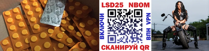 дарнет шоп  Новозыбков  LSD-25 экстази ecstasy 