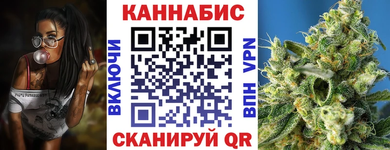 где купить наркотик  Новозыбков  Бошки марихуана план 